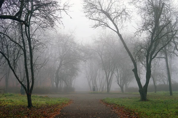 Nevoeiro Outono Pakra Estrada Árvores Grama — Fotografia de Stock