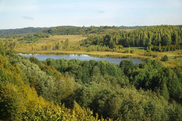 Bella Vista Sulla Foresta Sul Fiume Natura Russa Autunno Isborsk — Foto Stock