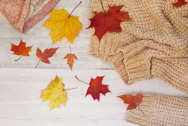 Ropa para suéter de otoño beige snood en hojas de arce de otoño. vista superior —  Fotos de Stock