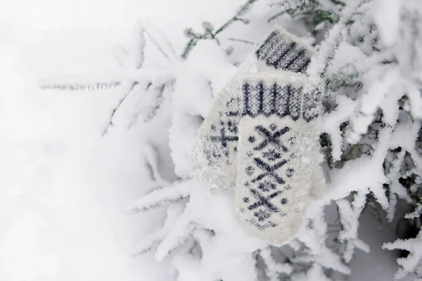 Las manoplas blancas con el patrón sobre la nieve El árbol de Navidad en el bosque en invierno —  Fotos de Stock