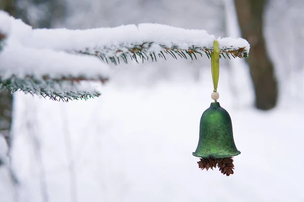 Una campana con conos en una rama de abeto en el bosque en invierno —  Fotos de Stock