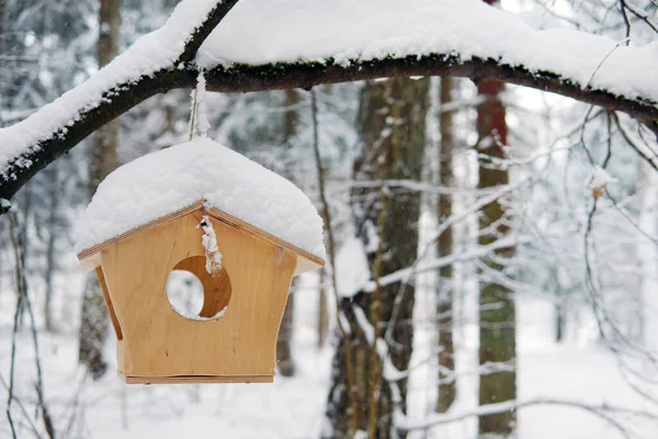 Fågelmatare och ekorrar i skogen hänger på en gren på vintern — Stockfoto