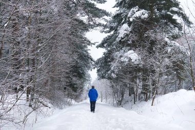Kışın karlı bir ormanda mavi ceketli bir adam yolda yürüyor.