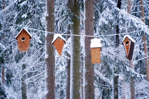 Case Gli Uccelli Sfamare Nella Foresta Neve Nel Parco Inverno — Foto Stock