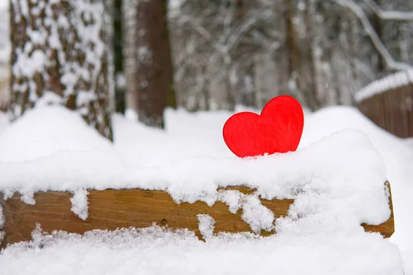 Kırmızı kalp karda, kışın bankta, dışarıda.