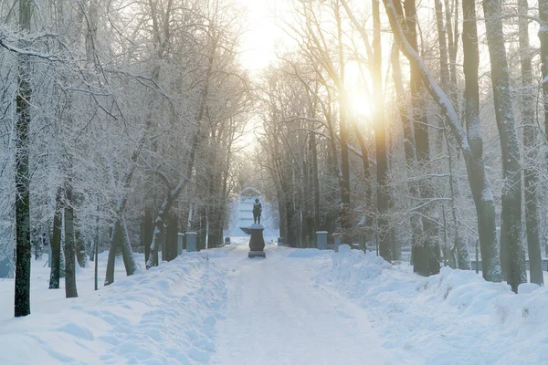 Park Zimowy Posąg Zachód Słońca Słońce Świeci Między Drzewami — Zdjęcie stockowe