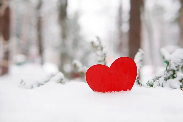Ormanın Dışında Kışın Kardaki Kırmızı Kalp - Stok İmaj