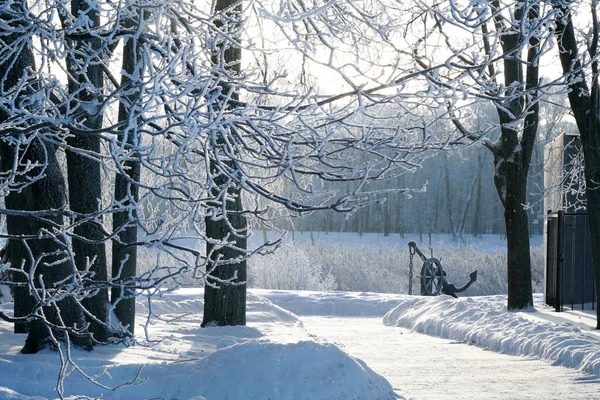 Kışın donmuş çapa