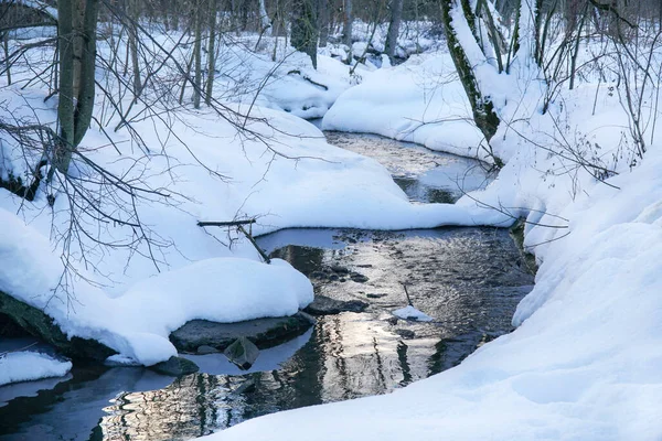 森林里没有冰的小河 这条河在冬天的森林里流淌 雪地里的海岸 — 图库照片