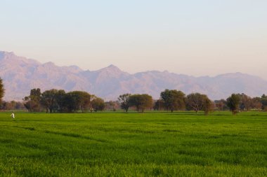 Dağ ve köy manzarası iğrenç. 