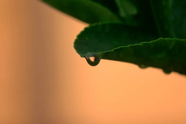 Beleza Natureza Depois Que Chuva Sempre Pára — Fotografia de Stock