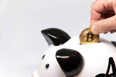 Emeklilik veya tasarruf konsepti için domuzcuk bankası ve bitcoin para yatırımı