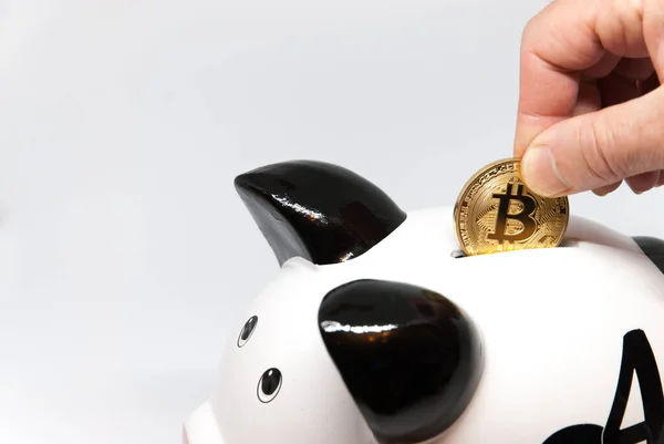 Emeklilik veya tasarruf konsepti için domuzcuk bankası ve bitcoin para yatırımı