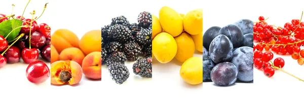 Assorted Fruits Collage White Background — Stock Photo, Image