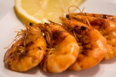 Kızarmış karides ve ahtapot dokunaçlarını kapatın.