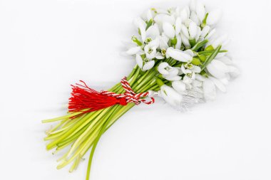 bouquet of snowdrops tied with red and white twisted cord martisor, spring symbol clipart