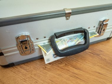 Romanya para birimi bir bavuldan çıkıyor.