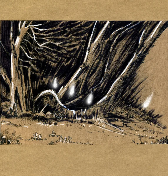 Floresta com luzes místicas errantes. Desenho de tinta de uma paisagem florestal. — Fotografia de Stock