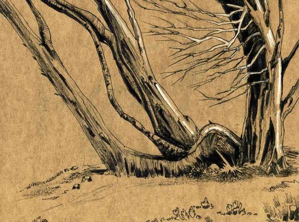 Caiu árvores velhas na floresta. Ilustração em preto e branco sobre papel artesanal amarelo. — Fotografia de Stock