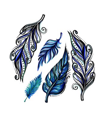 Feathers illustration. Hand painted clipart set isolated on white background. For posters, banners, prints, cards, backgrounds.