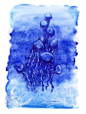 A flock of sea jellyfish. Ocean depths and marine life. Ink drawing on a watercolor background. High quality illustration