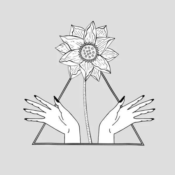 Vintage Mystieke handen en lotus bloem binnen driehoek — Stockvector