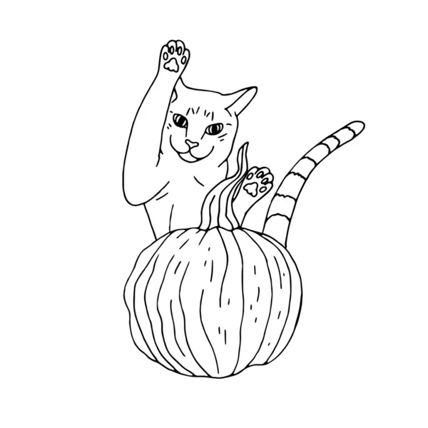 Hand drawn doodle monochrome pumpkin and a cat jumping from behind. — Stock Vector