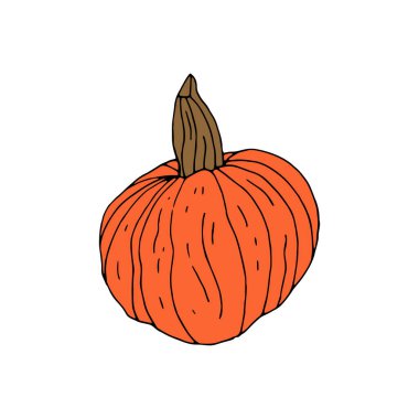 El çizimi turuncu balkabağı beyaza izole edilmiş.