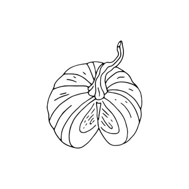 El çizimi tek renkli balkabağı beyaza izole edilmiş.