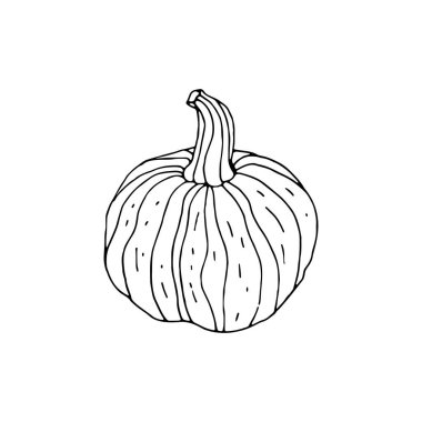 El çizimi tek renkli balkabağı beyaza izole edilmiş.