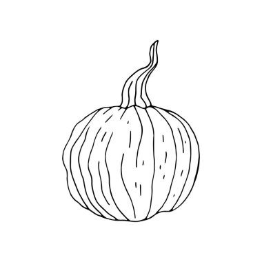 El çizimi tek renkli balkabağı beyaza izole edilmiş.