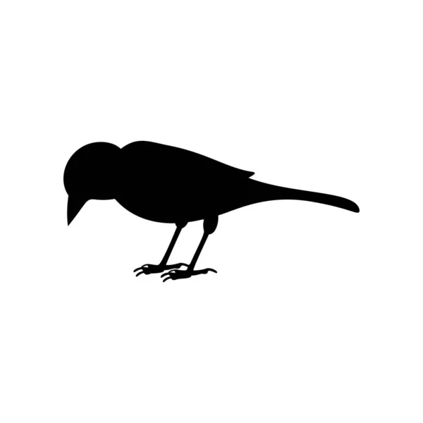 Silhouette noire de moineau isolé sur blanc — Image vectorielle