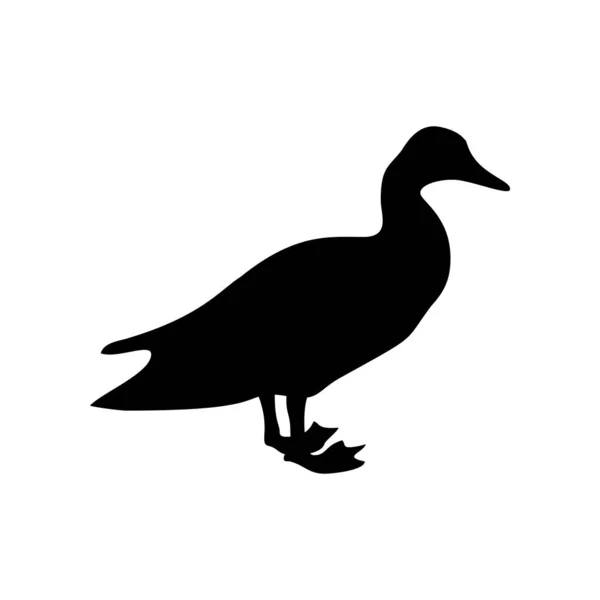 Чорний силует качки ізольовано на білому — стоковий вектор