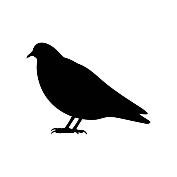 Silhouette noire de pigeon isolé sur blanc — Image vectorielle
