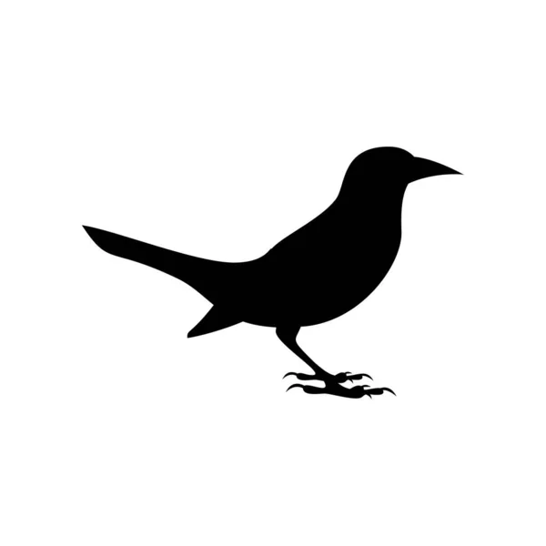 Silhueta preta de grackle comum isolado em branco —  Vetores de Stock