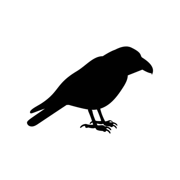 Black silhouette of crow isolated on white — Stock Vector