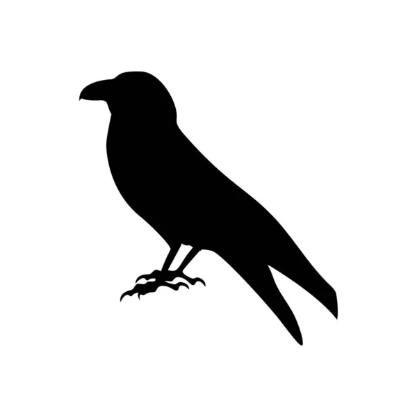 Silhouette nera di corvo nero isolato su bianco — Vettoriale Stock