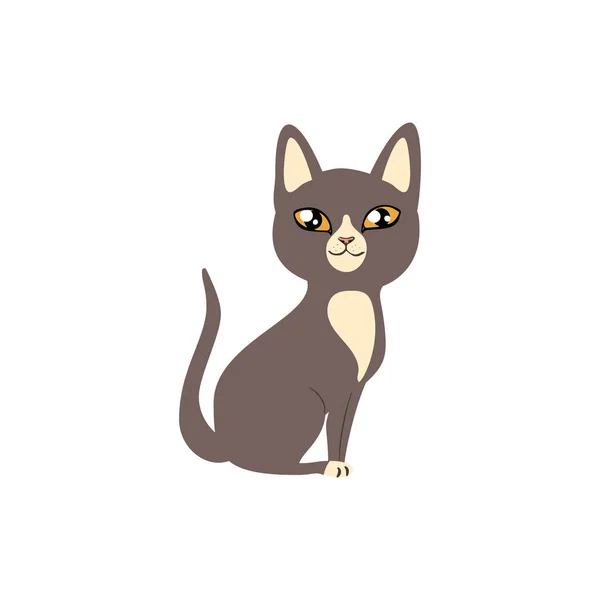 Illustration plate du chat isolé sur whte — Image vectorielle