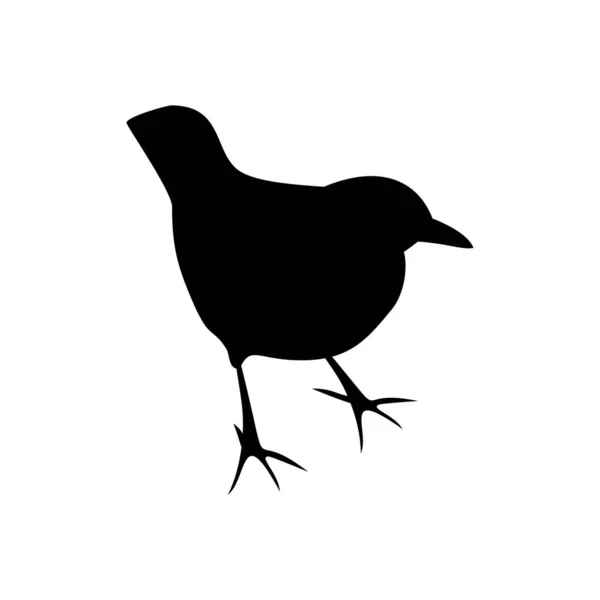 Silhouette noire de merle noir isolé sur blanc — Image vectorielle