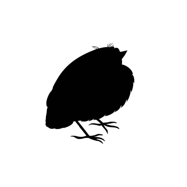 Black silhouette of thrush chick isolated on white — Vettoriale Stock