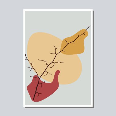 Modern soyut organik şekiller ve bitki düzenlemeleri