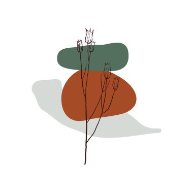 Soyut organik şekilleri ve botanik çizimleri olan modern kompozisyonlar.