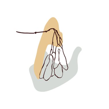 Soyut organik şekilleri ve botanik çizimleri olan modern kompozisyonlar.