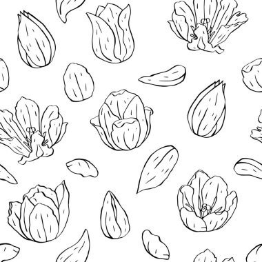 Tek renkli, siyah beyaz, dikdörtgen desenli, beyaz çizgili laleler.