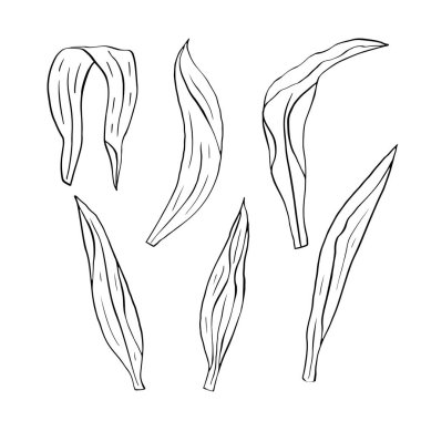 Monokrom Çizgisi sanatı beyazda izole olur