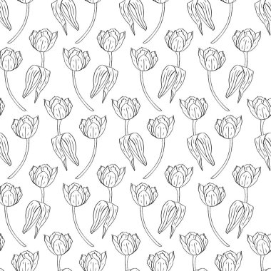 Tek renkli, siyah beyaz, dikdörtgen desenli, beyaz çizgili laleler.