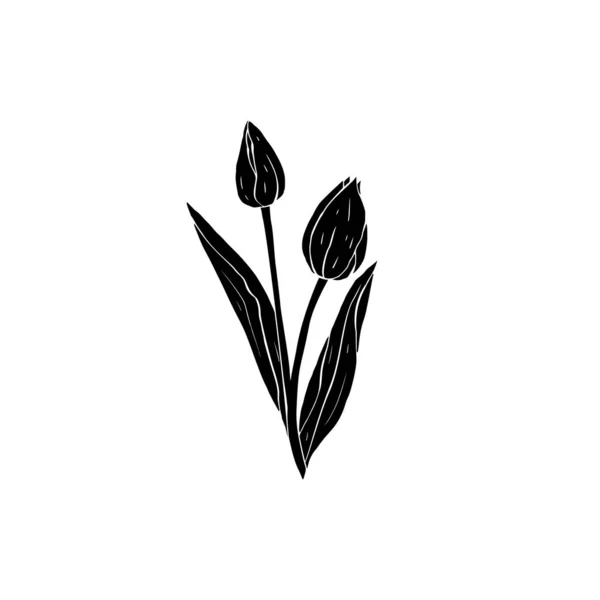 Monocromático tulipas pretas flores buquê silhueta isolada em branco — Vetor de Stock