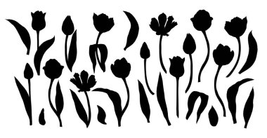 Tek renkli lale çiçekleri, siluetler beyaza sabitlenmiş.