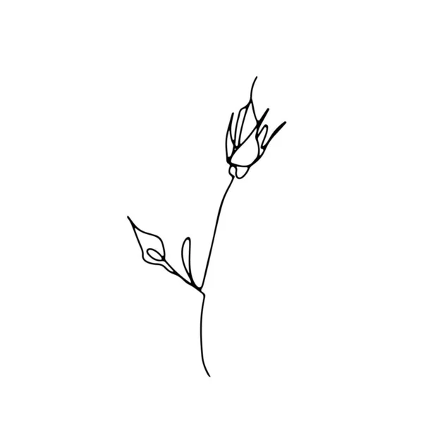 Tek bir çizgi gül çiçeği çizimi. — Stok Vektör