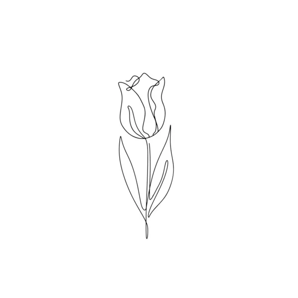 Uma linha a desenhar tulipa. Mão desenhada flor de linha única — Vetor de Stock